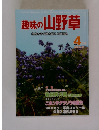 趣味の山野草　4月号