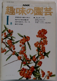 NHK趣味の園芸 1月号
