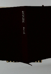 彩色江戸切繪圖