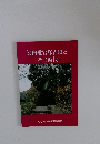 河内愛宕塚古墳とその時代 大阪府指定文化財記念