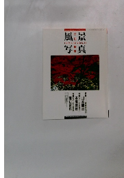 風景写真　1991、10　vol.11