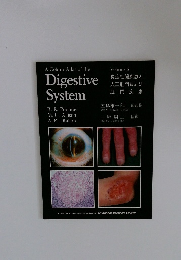 Digestive System　Volume 6