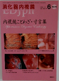 消化器内視鏡　Vol. 16 No. 6　2004年6月号