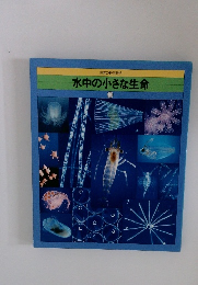 水中の小さな生命