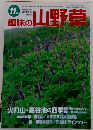 趣味の山野草　1996年11月号