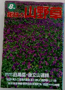 趣味の山野草　1995年8月号