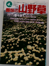 趣味の山野草　4月号