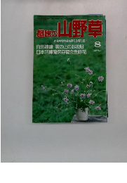 趣味の山野草1993年8月号