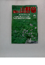 趣味の山野草1993年8月号