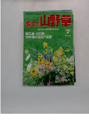 趣味の山野草　7 1993年No.156