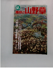 趣味の山野草　1995年12月号