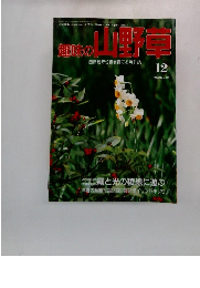 趣味の山野草　1994年12月号