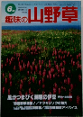 趣味の山野草　1995年6月号
