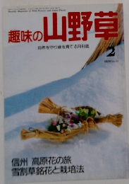 趣味の山野草　1980年2月号　No.151