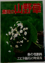 趣味の山野草　4月号