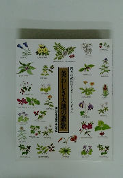 美わしき大地の讃歌