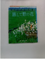 芦野千翠のつみ草アレンジ　旅して野の花