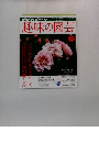 NHKテレビテキスト　趣味の園芸　2009年10月号