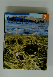 しぜん　7　しおだまり