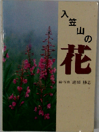 入笠山の花