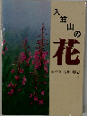 入笠山の花