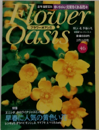 Flower Oasis 46　早春に人気の黄色い花