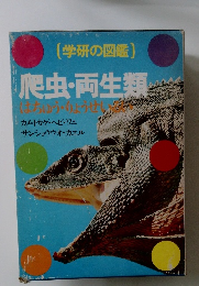 爬虫・両生類　はちゅう・りょうせい