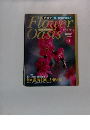 フラワーオアシス　No.41　1月1日号