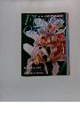 フラワーオアシス　No.38　12月14日号