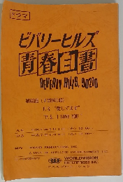 ビバリーヒルズ 青春白書