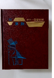 22 算数　カラー図鑑百科 