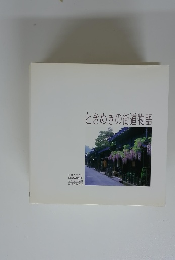 ときめきの街道物語