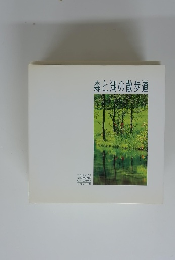 森と湖の散歩道