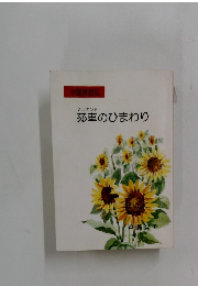 莎車のひまわり