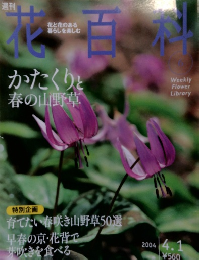 週刊花百科　No.6　2004年4/1号