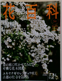 花百科　雪柳 れんぎょう　54