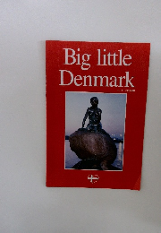 Big　little　Denmark