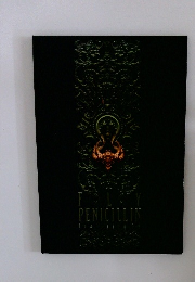 FLY PENICILLIN featuring 千聖 