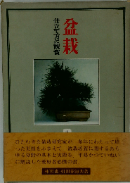 盆栽 仕立て方と観賞