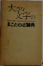 大きな文字の実用ことわざ辞典