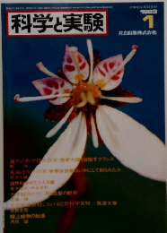 科学実験　1983年1月号