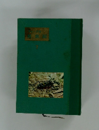 昆虫記　7