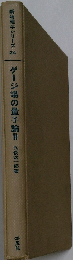 ゲージ場の量子論 2 （新物理学シリーズ）