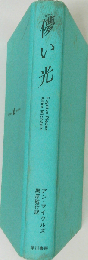 儚い光