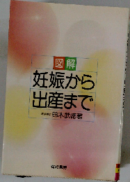 図解妊娠から出産まで