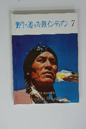 野牛を追うスー族インディアン　7