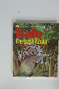 KOLO　the　bush　Koala　