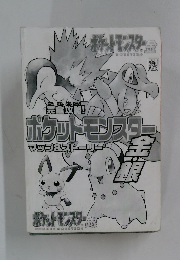 ポケットモンスター　