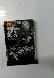 錦鯉の 上手な 飼い方