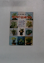 趣味の古典植物